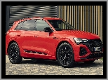 Audi Q8 E-Tron S