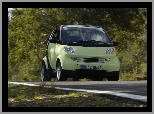 Smart Fortwo, Pastelowy