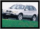 E53, Bmw X5